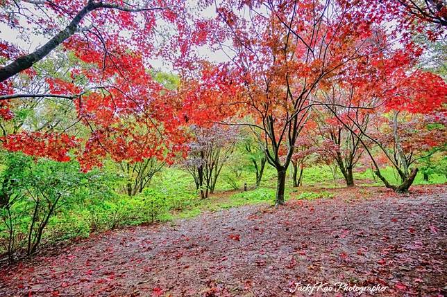 ▲圖片來源：IG@jackykao168