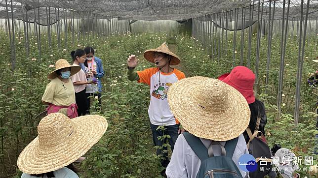 有機玫瑰花田解說