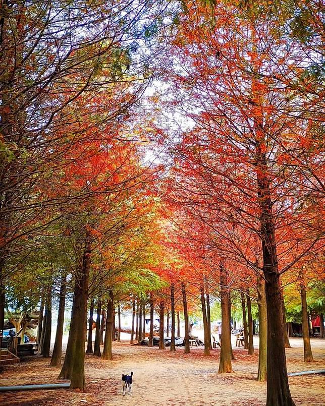 照片來源：IG  van82731