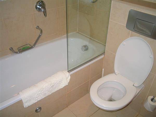 上廁所有染疫風險，黃軒醫師提醒民眾５動作自保。（圖片來源／Pixabay）