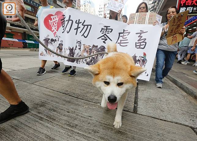 市民帶同動物遊行，促以絕育代替捕殺。(何天成攝)