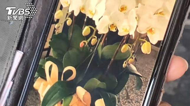 網友控訴花店回收喪家蘭花。（圖／TVBS）