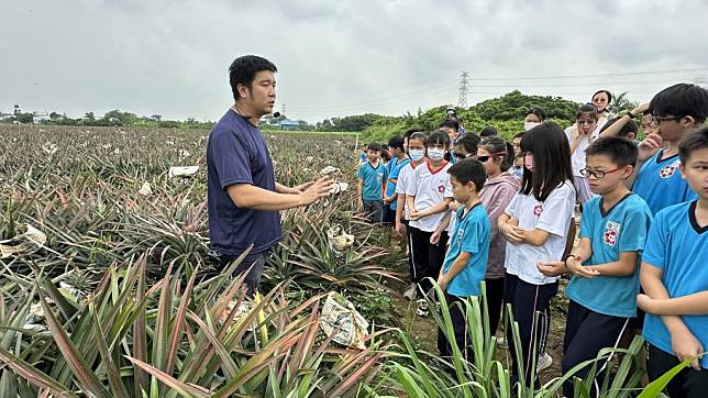 保東邀崇學學生一同下鳳梨田。（記者張淑娟攝）