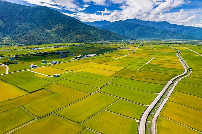 徵收良田風暴再起！關山 200 公頃良田，成國防部戰備跑道預定地，犧牲全鎮 1／10 耕地