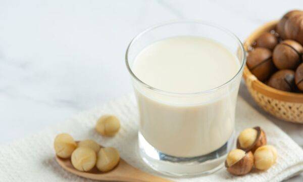 燕麥奶降膽固醇、不含乳糖，和牛奶比誰營養？