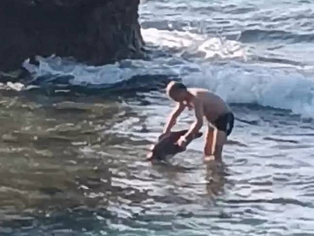 中國籍劉姓男子在小琉球抓起海龜，依違反《野生動物保育法》函送。 圖：翻攝畫面