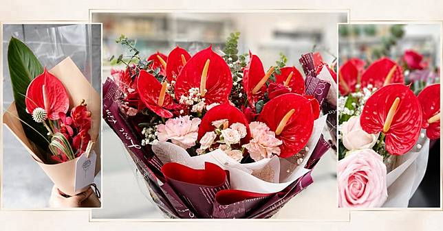 火鶴花解密》外銷日本巨星，紅鈴是女王，維納斯會跳鋼管舞，紫苑、綠精靈高冷優雅