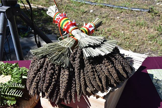 高雄魯凱族多納部落的黑米祭，祭儀時重要物品為黑小米束，並可作為定情之物。（圖片來源：高雄農改場提供）