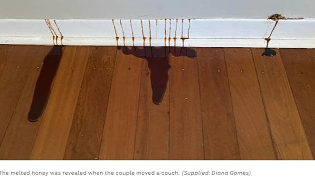 澳洲一處民宅牆壁流出詭異液體。（圖／翻攝自ABC NEWS 官網）