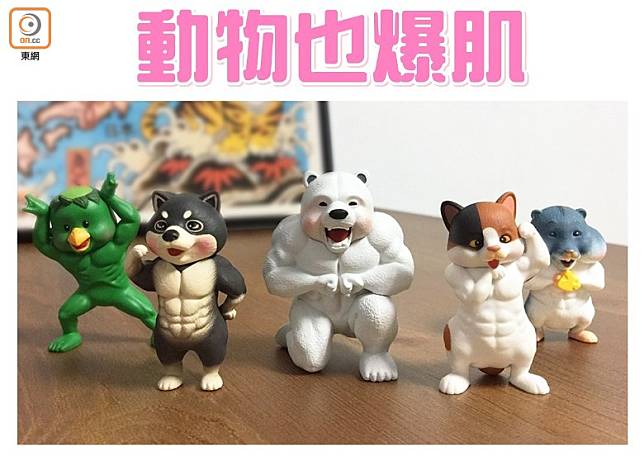 台灣玩具品牌Katsu創作工房將於2020年1月推出「最強筋肉傳說-超進化體態」動物扭蛋。（互聯網）