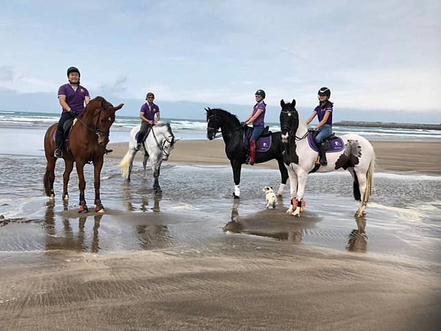 圖片來源 /格林馬術中心