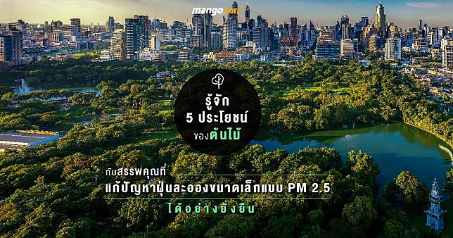 รู้จัก 5 ประโยชน์ของต้นไม้ กับสรรพคุณที่แก้ปัญหาฝุ่นละอองขนาดเล็กแบบ PM 2.5 ได้อย่างยั่งยืน