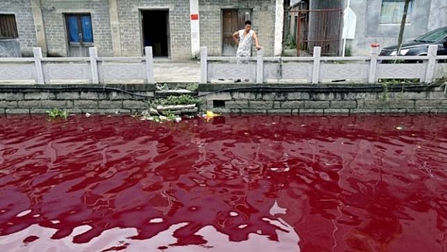 แม่น้ำชายแดนเกาหลีใต้กลายเป็นสีแดง เนื่องจากการปนเปื้อนเลือดจากซากสุกร