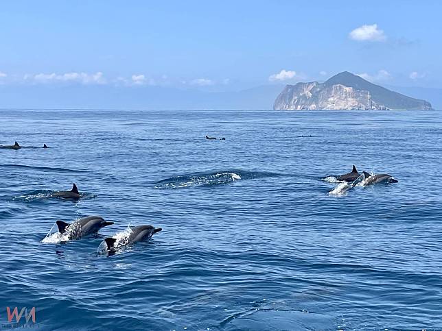 龜山島3月1日開放登島 淨攤植樹迎賓客