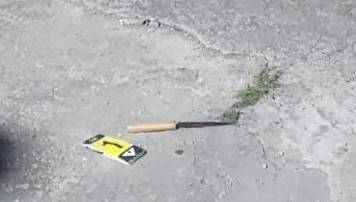 兇刀。（圖／翻攝畫面）