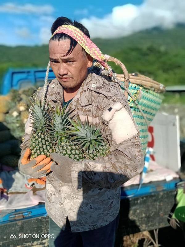 台東鳳梨農朱益利種的鳳梨被稱為「猴子鳳梨」，因為從種下鳳梨苗後就開始和猴子搶鳳梨，猴子吃剩的才輪到他賣，沒想到今年再遇疫情挑戰，這幾天盤商不收鳳梨讓他幾乎要放棄，幸好他服役時在士官長正規班的同學協助製作表單放在臉書供訂購，才讓他又恢復信心。（朱益利提供）中央社記者盧太城台東傳真 110年7月6日 