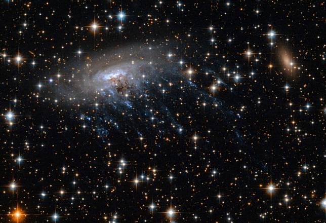 NASA發布外太空超巨大「水母」照片，原來是形狀猶如水母的ESO 137-001星系。(圖擷自NASA Goddard推特)