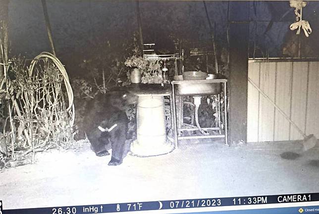 南投縣仁愛鄉廬山部落，18 日有台灣黑熊入侵部落蜂場破壞蜂箱，林務局南投林區管理處獲報後，立即採取多項防熊措施，多日來黑熊未再回訪。 圖：南投林管處提供