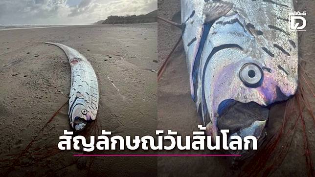 ตะลึง! พบซากปลาพญานาคเกยตื้นยาวเกือบ 3 เมตร ชาวเน็ตหวั่นเป็นสัญญาณ ‘วันสิ้นโลก’