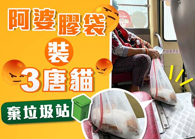 阿婆以綑着的膠袋盛載3隻唐貓棄置，行徑令網民憤怒。