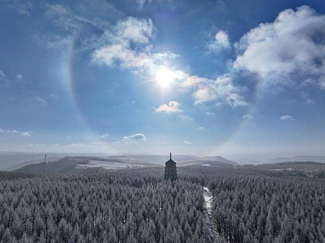 An aerial drone photo taken on Dec. 27, 2024 shows a winter view of the Saihanba National Forest Park in Chengde City, north China's Hebei Province. (Xinhua/Mu Yu)