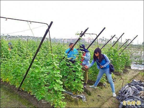 經過更名，「植物診療師法」草案今通過立院經濟委員會初審，農業部盼本會期三讀通過。(資料照)