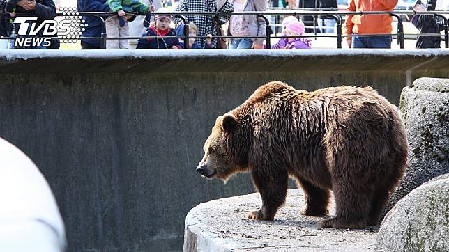 大批遊客無視告示牌，違規餵食園內動物。示意圖／TVBS