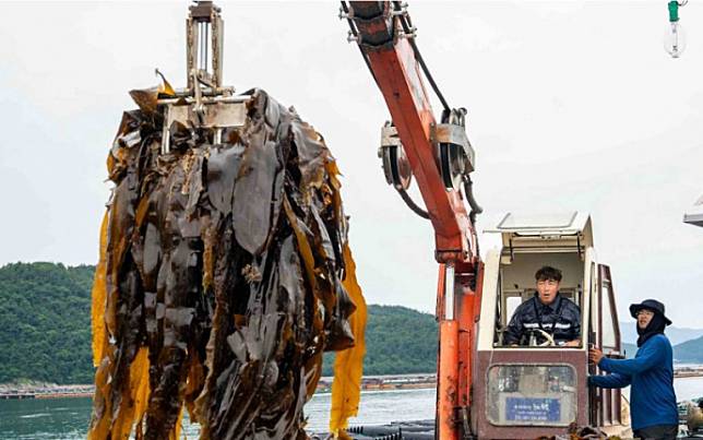 郭泓志前進韓國餵鮑魚　怒嗆姚元浩「趕快想辦法」