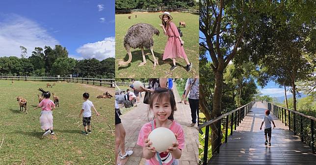 台東原生植物園.jpg