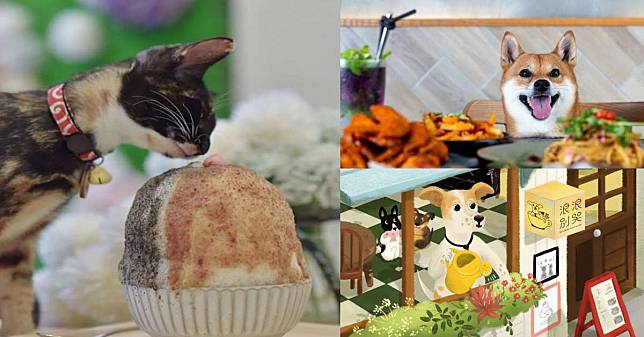 和毛小孩來場浪漫約會！網友激推「這5間」台北寵物友善餐廳，保證療癒你的心和胃！