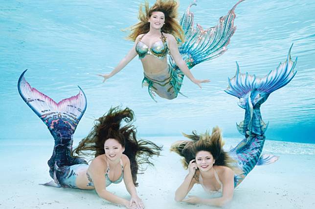 美國佛羅里達州「Weeki Wachee Springs」樂園，正在召募全世界夢幻工作之一：美人魚表演者。（翻攝自Weeki Wachee Springs官網）
