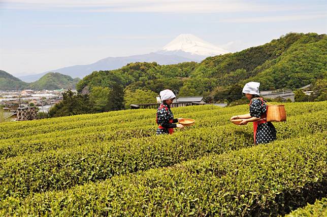 photo credit to 静岡県観光協会