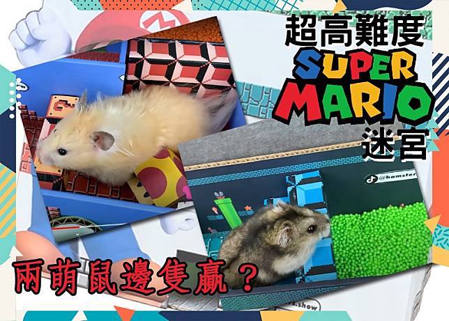 超高難度Super Mario迷宮，兩萌鼠邊隻贏？