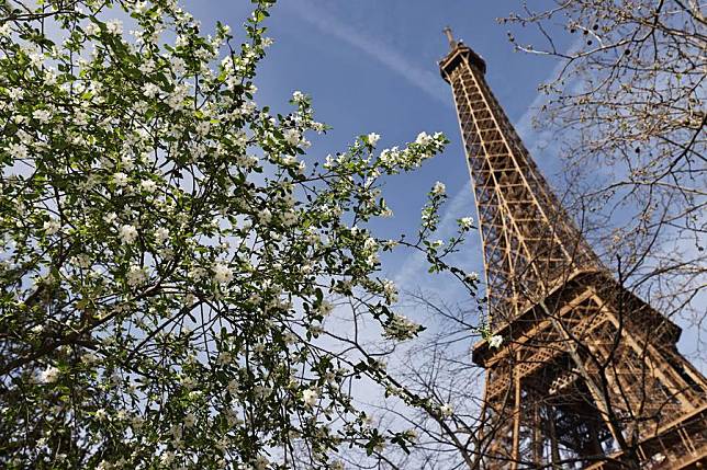 Trees bloom at the Champ de Mars near the Eiffel Tower in Paris, France, March 20, 2024. (Xinhua/Gao Jing)