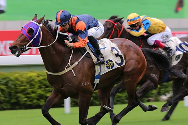 Blake Shinn (right) and Lucky Guy finish second to Aldo Domeyer and California Gungho. Photo: Kenneth Chan