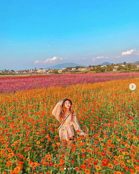 圖片來源：IG @benben_725