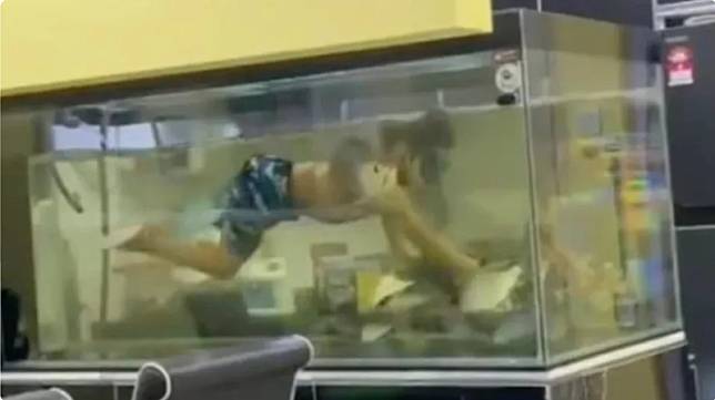 一位父親允許兒子在家裡的大魚缸裡跟寵物魚共遊，影片發出引發熱議。（翻攝自「superwanvr46」TikTok）