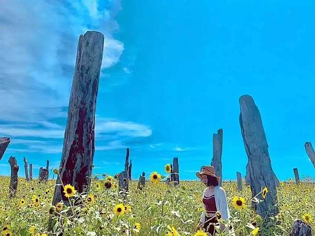 照片來源：IG @zoey_1997