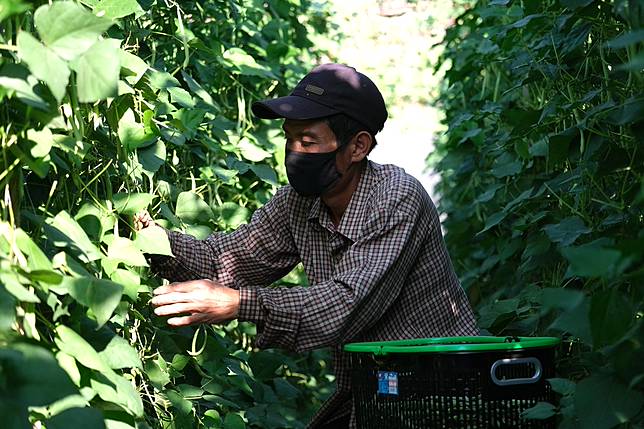 台灣對藍領移工的依賴遠高於日本、韓國。（攝影／楊語芸）