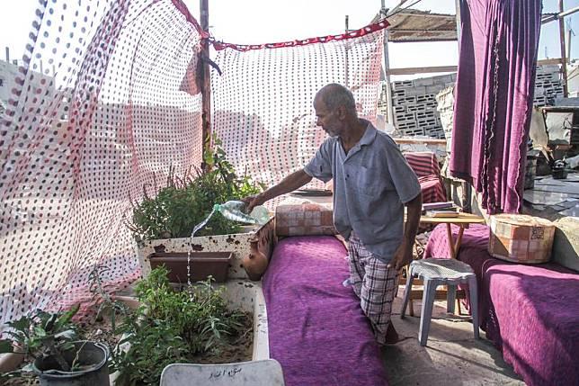 A Palestinian man who returned home waters plants at a temporary tent over the rubble of a destroyed house in Beit Lahia town in northern Gaza on July 21, 2024. (Photo by Mahmoud Zaki/Xinhua)