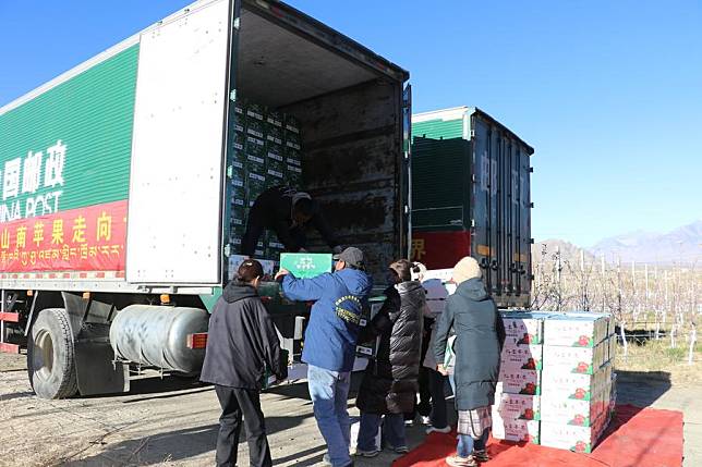 Workers load apples onto a truck in Chanang County of Shannan City, southwest China's Xizang Autonomous Region, Nov. 15, 2024. Southwest China's Xizang Autonomous Region made a breakthrough in trade in November when two vehicles carrying 30 tonnes of locally grown apples departed for Nepal from the region's Shannan City, which borders Bhutan and India. (Xinhua)