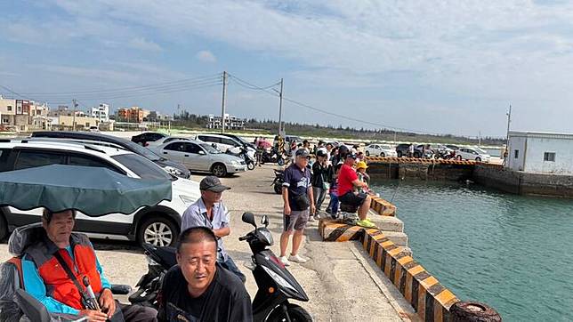 海豚重現沙港，再現當年沙港村觀光榮景。(陳建銘提供)