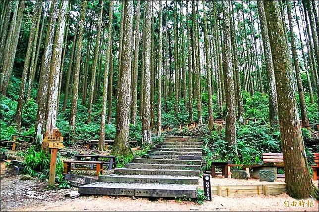 藤枝森林遊樂區將於5月7日重新開園，地方建議重啟森林音樂會與纜車計畫。(資料照、記者許麗娟攝)