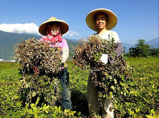 黑鯨咖啡館推出傳達保護海洋概念的濾掛咖啡。(勞動力發展署北分署提供)