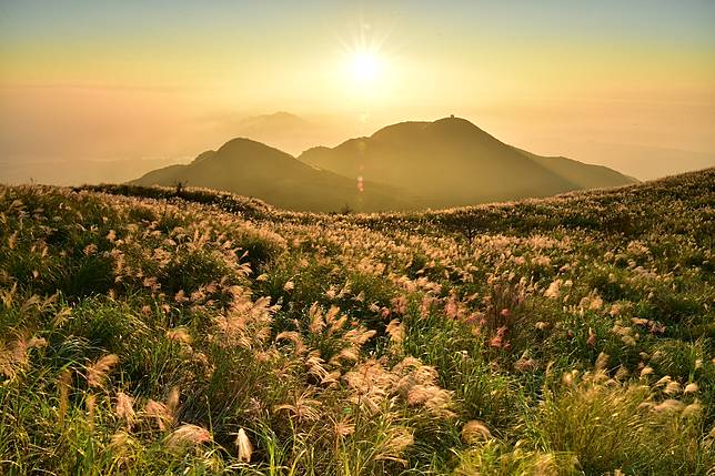 圖片提供/shutterstock.com