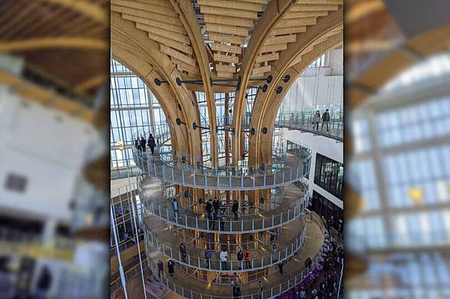 南投市「半山夢工廠」30.8公尺生命樹，是全球最大室內木構建築。(記者劉濱銓攝；本報合成)