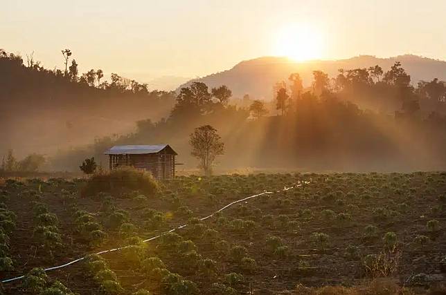 วิธีลงทะเบียน แอ่วเหนือคนละครึ่ง