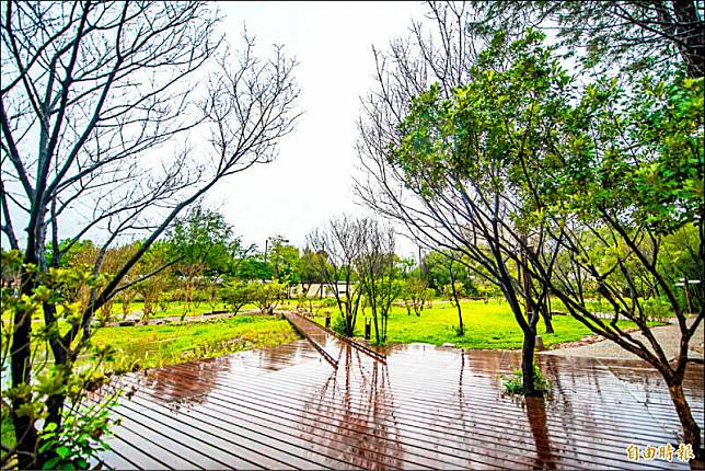 桃園市持續打造特色公園，圖為八德大湳森林公園。(資料照)