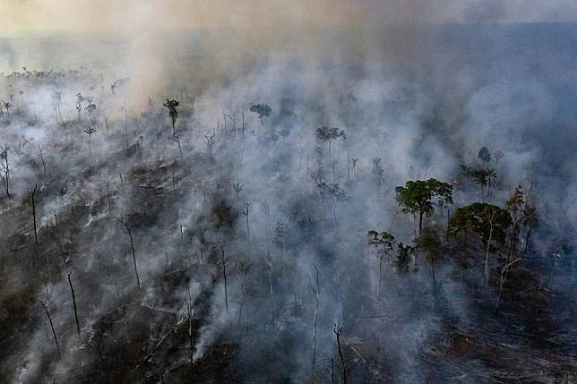 亞馬遜雨林大火引起全球關注。（湯森路透）