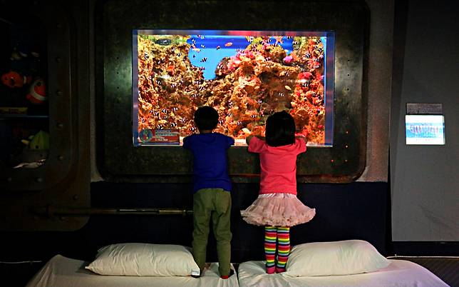 &nbsp;（圖片提供/屏東海生館）  
